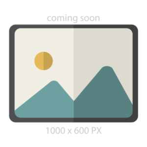 Evolution-1000 - Image 2