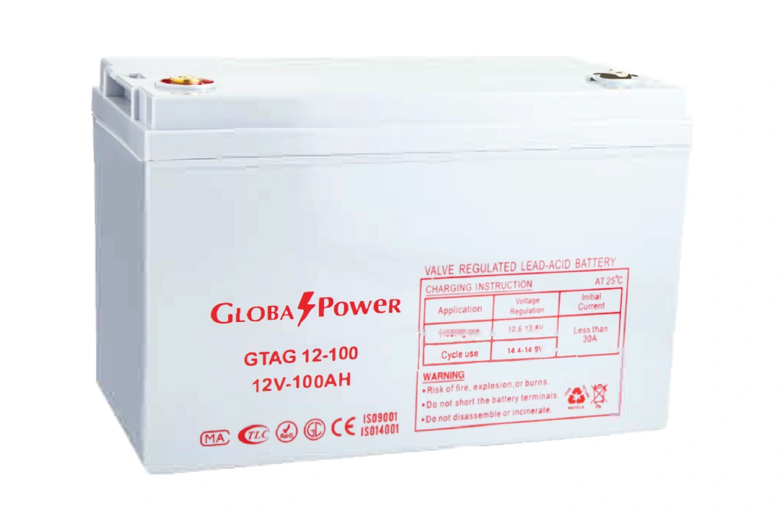 GTAG12-100
